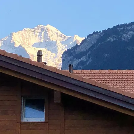 S&P Mountain View Apartment 1 Wilderswil Exterior photo