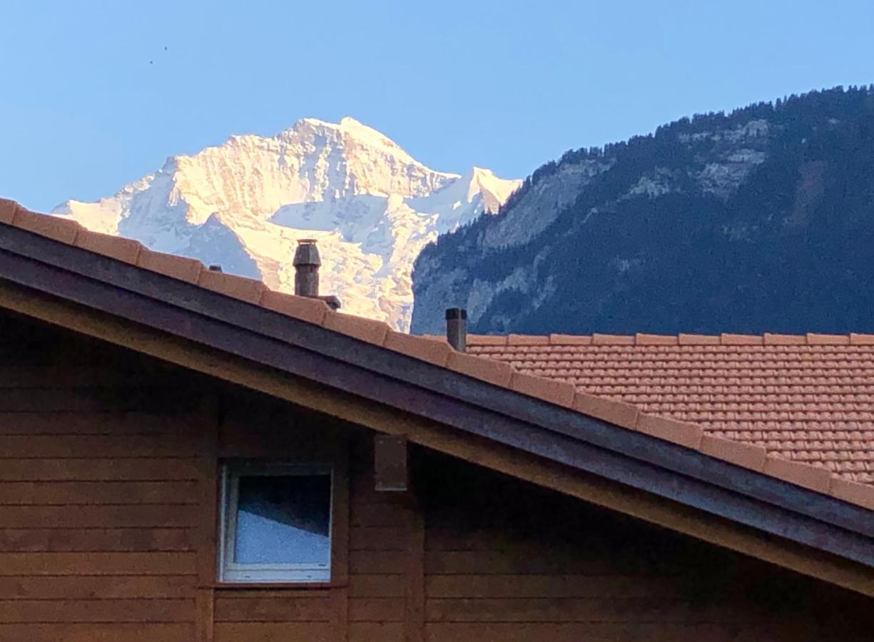 Apartment S&p Mountain View 1 Wilderswil